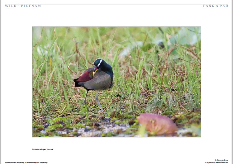 11 © Pau LE Mag Jan 2024