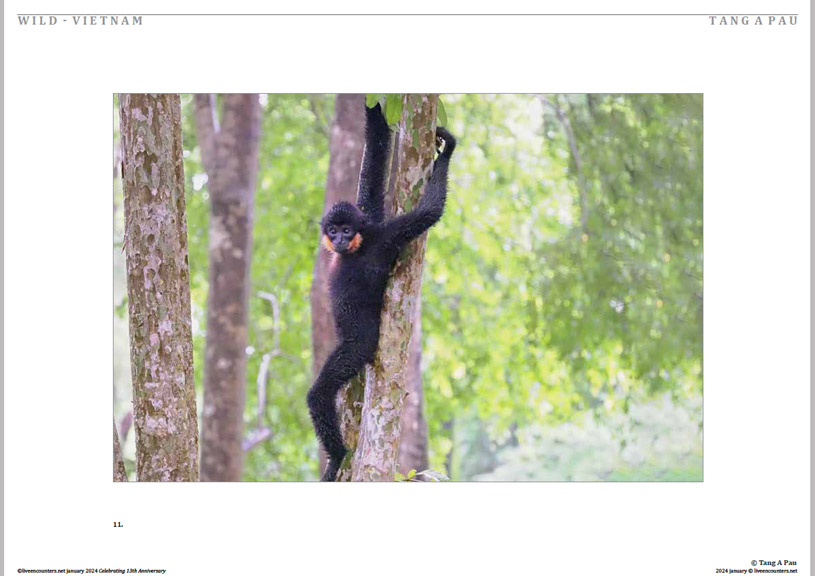 12 © Pau LE Mag Jan 2024