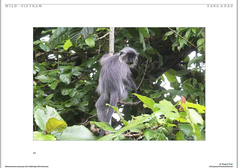 13 © Pau LE Mag Jan 2024