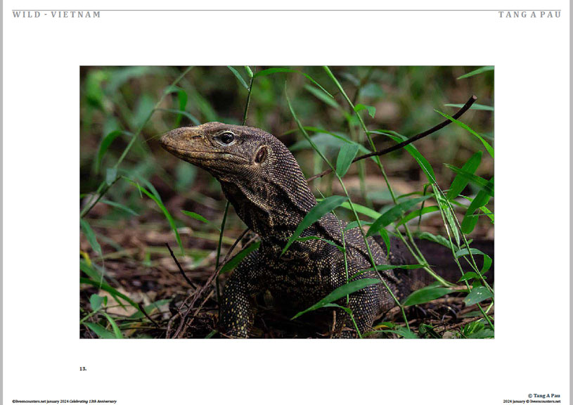 14 © Pau LE Mag Jan 2024