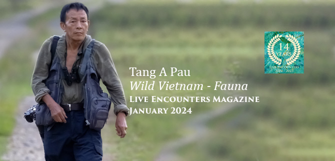 Tang Pau Live Encounters Magazine January 2024