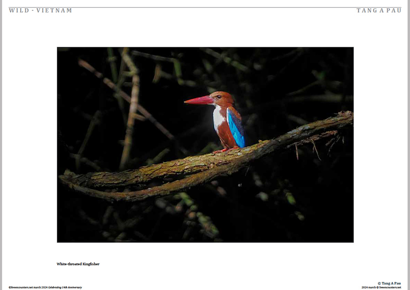 02 Tang Pau LE Mag March 2024