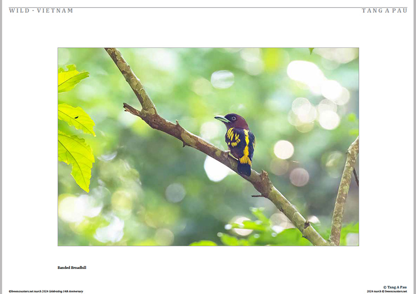 06 Tang Pau LE Mag March 2024