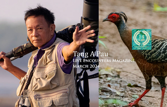 Tang Pau LE Mag March 2024