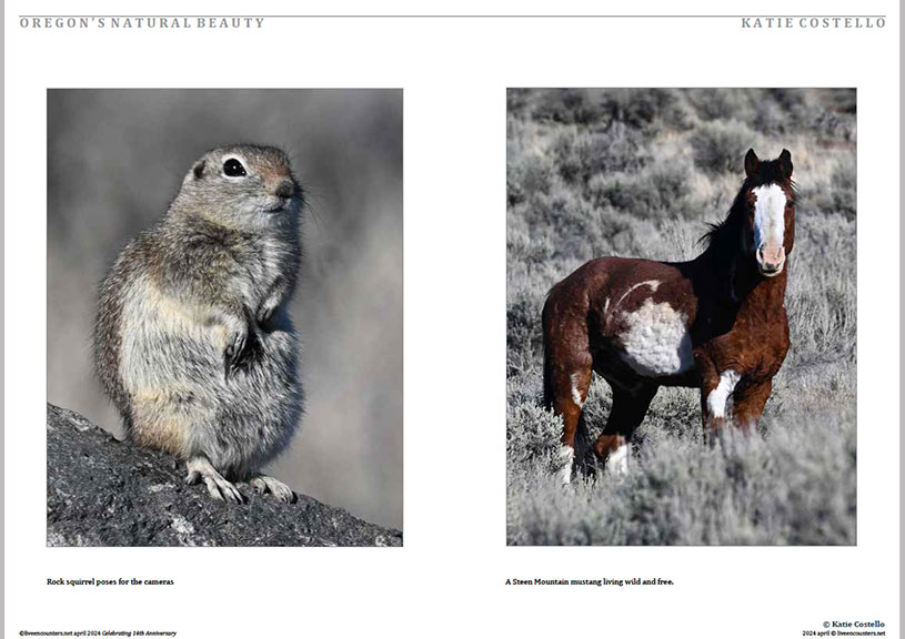 02 Costello LE Mag April 2024