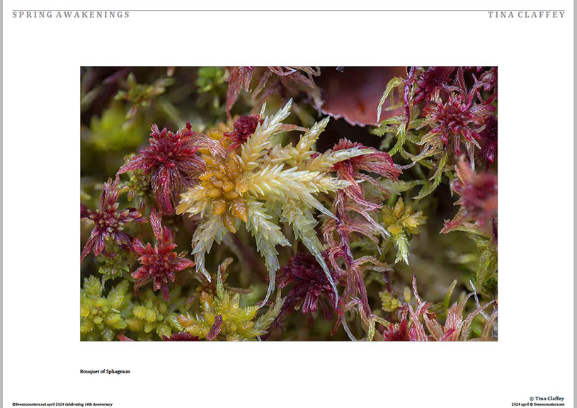 03 Claffey LE Mag April 2024