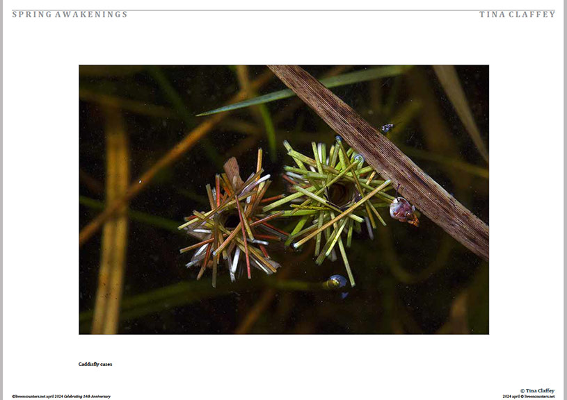 04 Claffey LE Mag April 2024