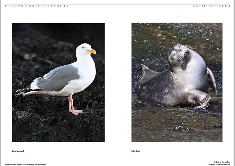 04 Costello LE Mag April 2024