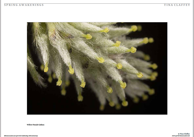 05 Claffey LE Mag April 2024