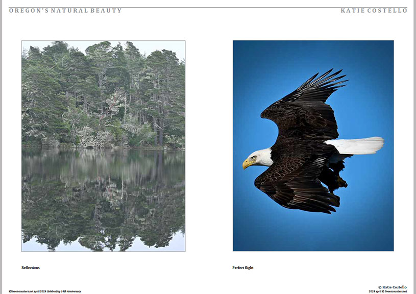 05 Costello LE Mag April 2024