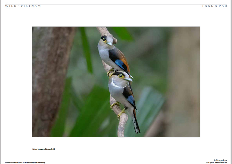 06 Tang Pau LE Mag April 2024