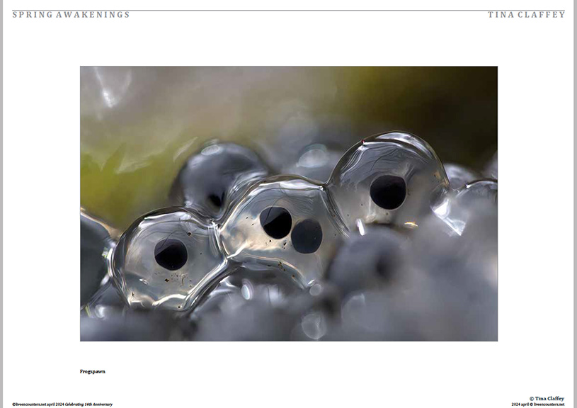 07 Claffey LE Mag April 2024