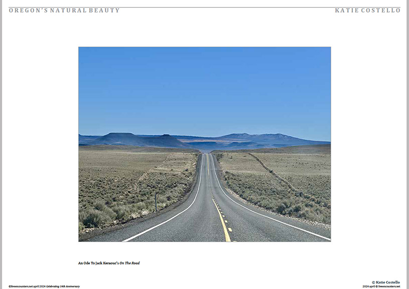 07 Costello LE Mag April 2024