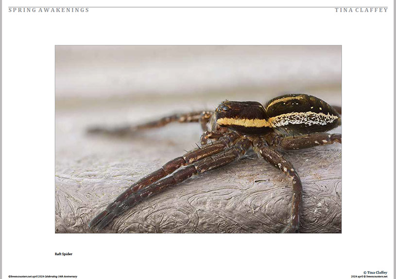 08 Claffey LE Mag April 2024