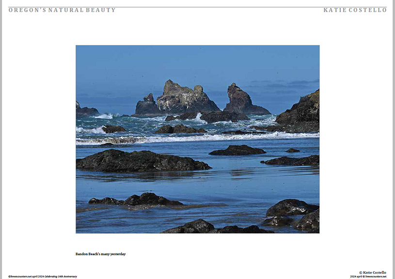 08 Costello LE Mag April 2024