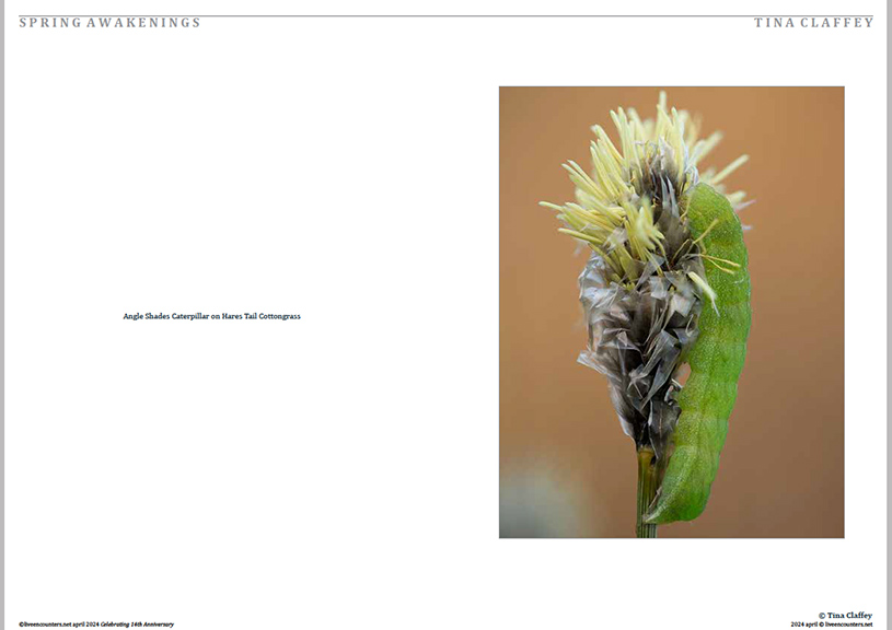 10 Claffey LE Mag April 2024