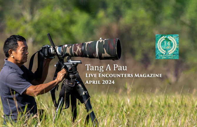 Pau LE P&W April 2024