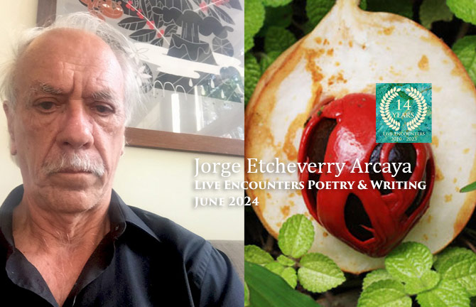 Arcaya LE P&W June 2024