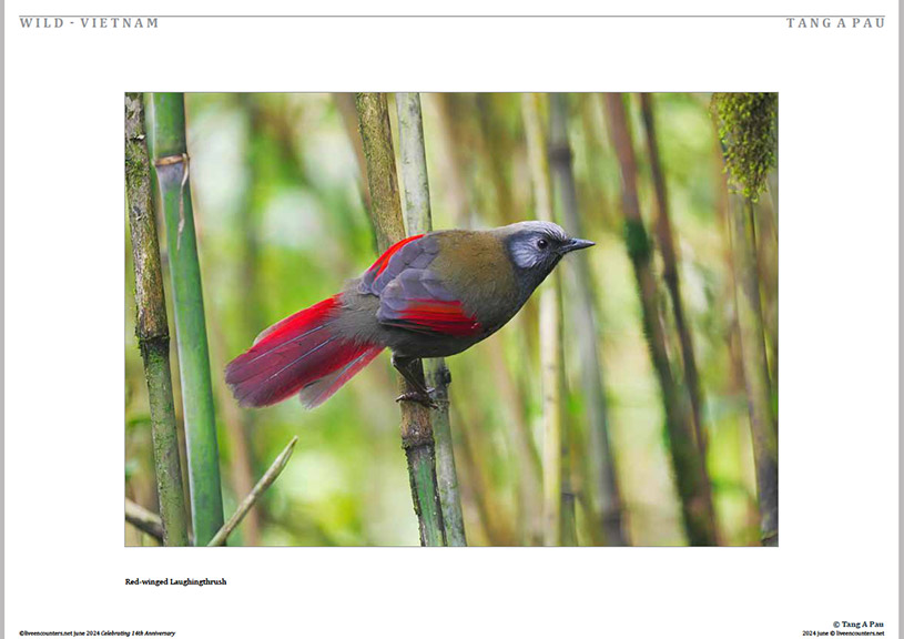 02 Pau LE Mag June 2024