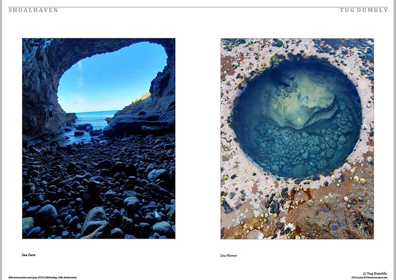 03 Dumbly LE Mag June 2024