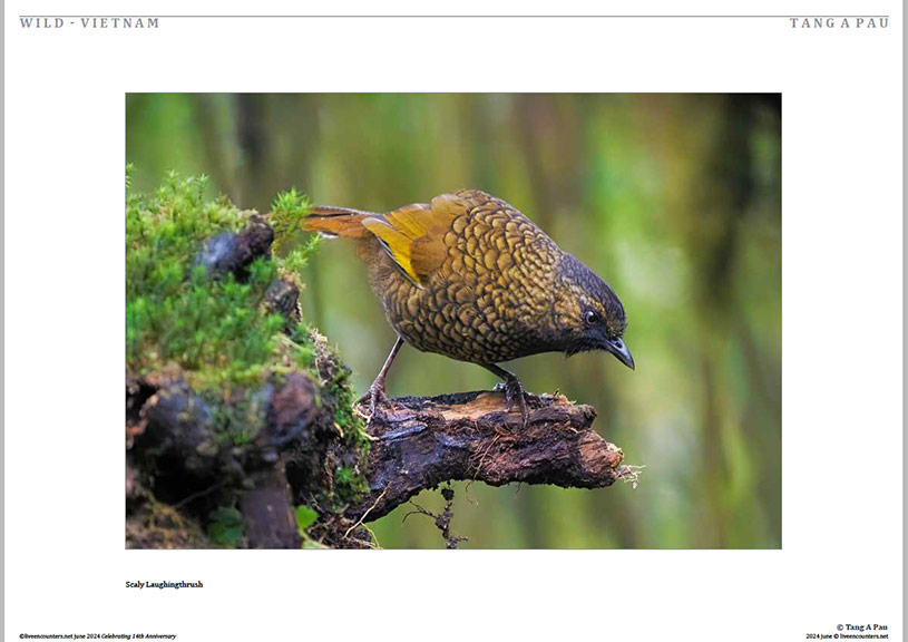 03 Pau LE Mag June 2024