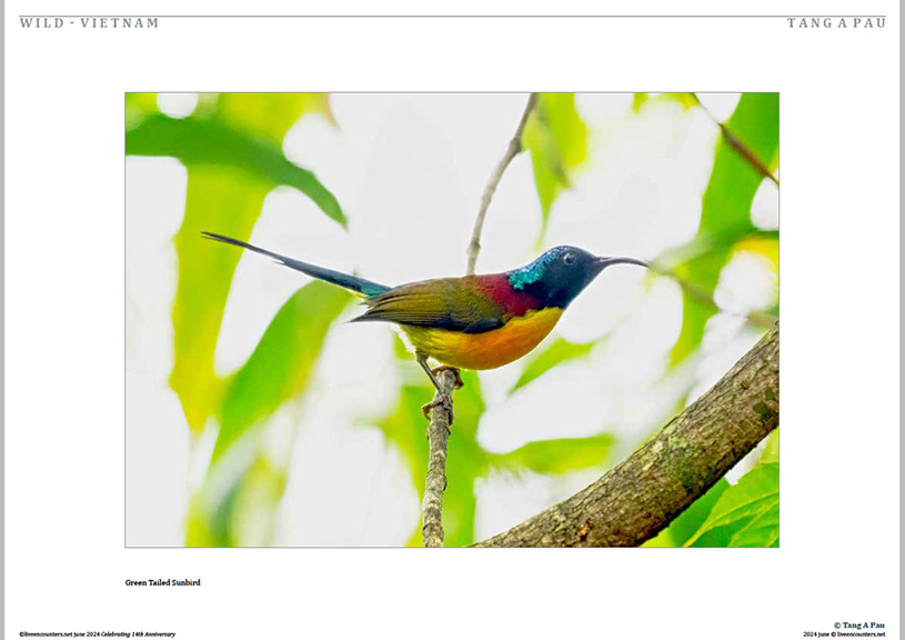 06 Pau LE Mag June 2024