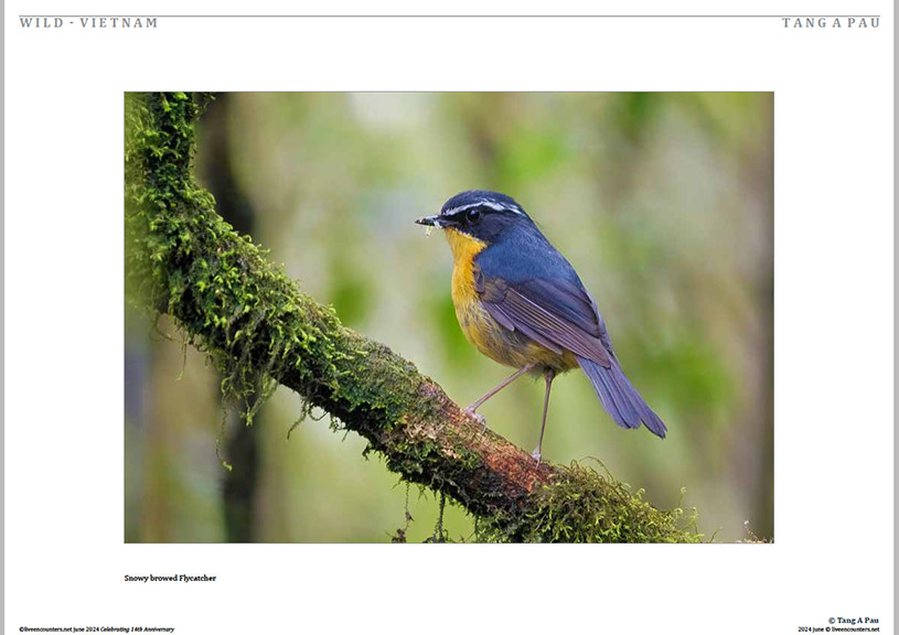 07 Pau LE Mag June 2024