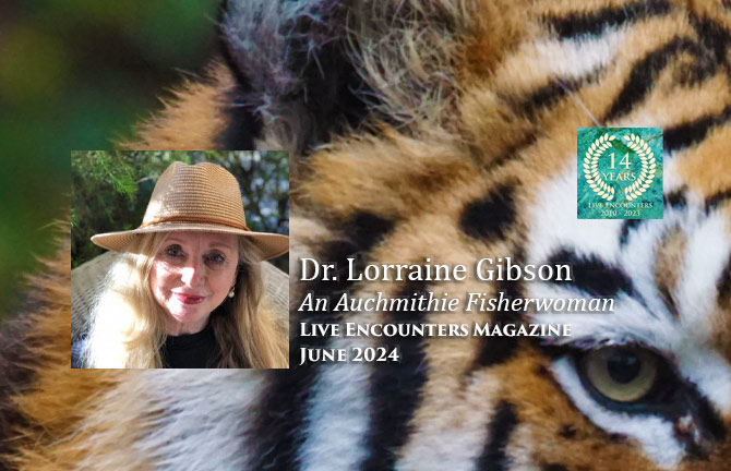 Gibson LE P&W June 2024