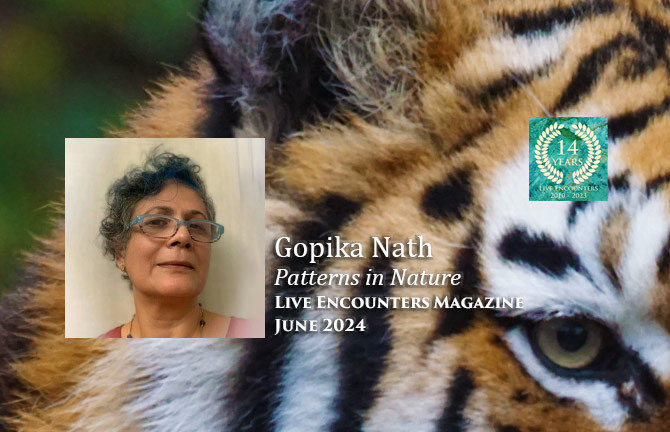 Nath LE P&W June 2024