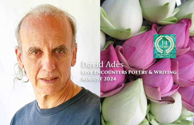 Ades LE P&W August 2024