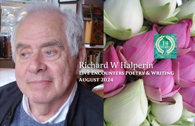 Halperin LE P&W August 2024