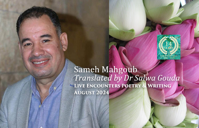 Mahgoub LE P&W August 2024