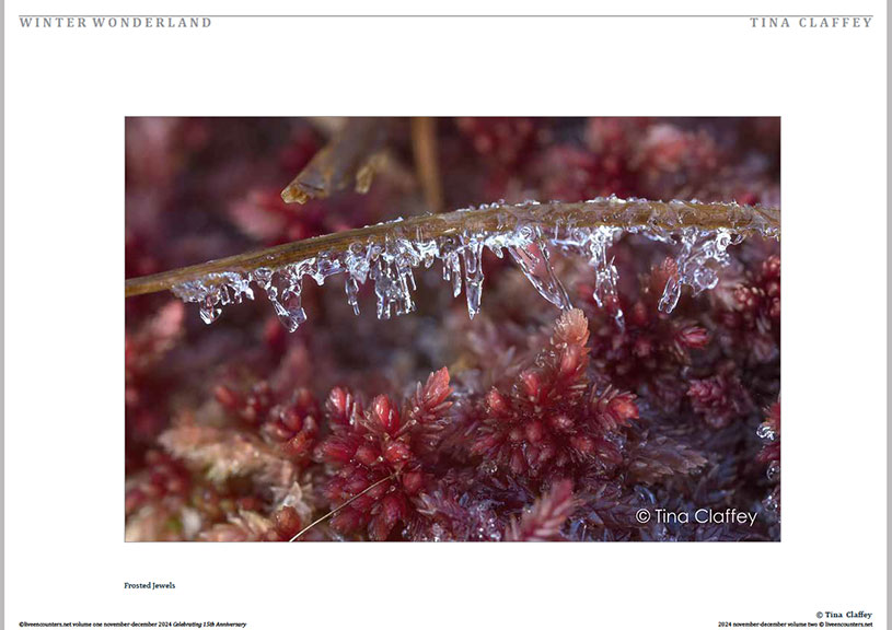 Claffey 02 LE Mag Volume One Nov-Dec 2024