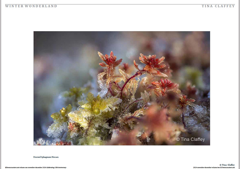 Claffey 03 LE Mag Volume One Nov-Dec 2024