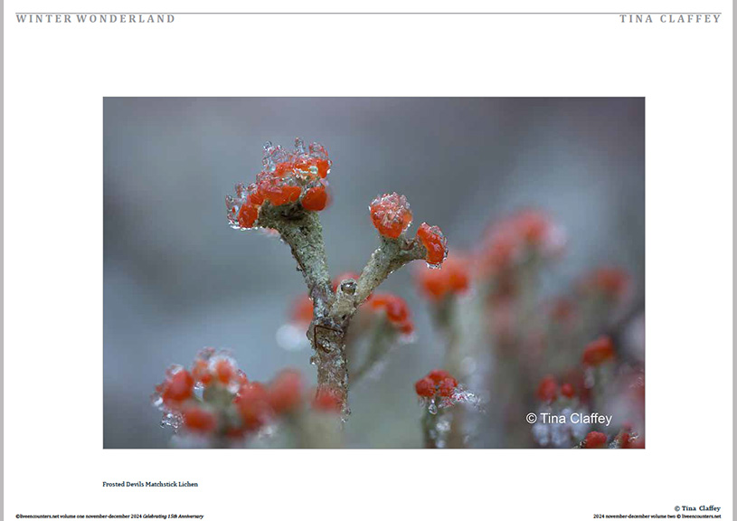 Claffey 04 LE Mag Volume One Nov-Dec 2024