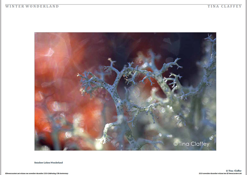 Claffey 05 LE Mag Volume One Nov-Dec 2024