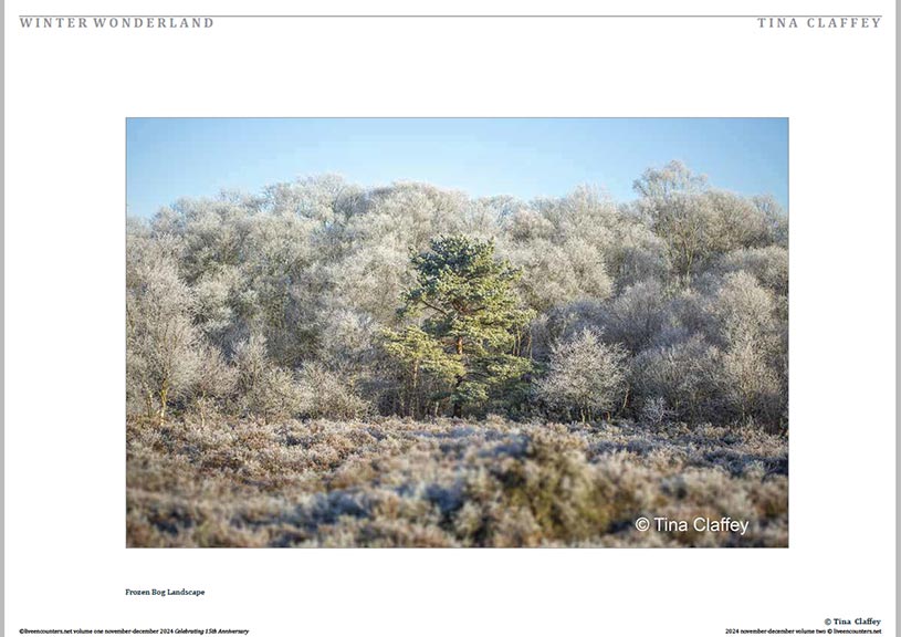 Claffey 06 LE Mag Volume One Nov-Dec 2024