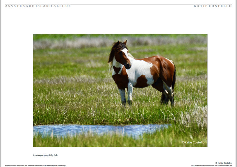 Costello 03 LE Mag Volume Two Nov-Dec 2024