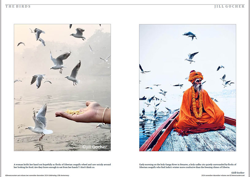 Gocher 01 LE Mag Volume One Nov-Dec 2024