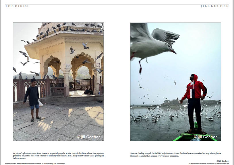 Gocher 02 LE Mag Volume One Nov-Dec 2024