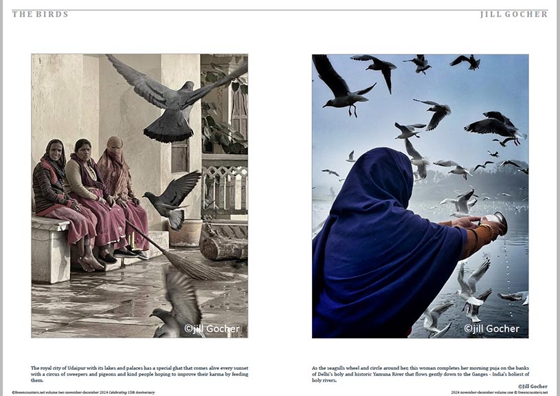 Gocher 03 LE Mag Volume One Nov-Dec 2024