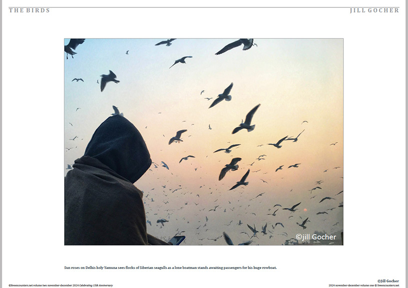 Gocher 04 LE Mag Volume One Nov-Dec 2024