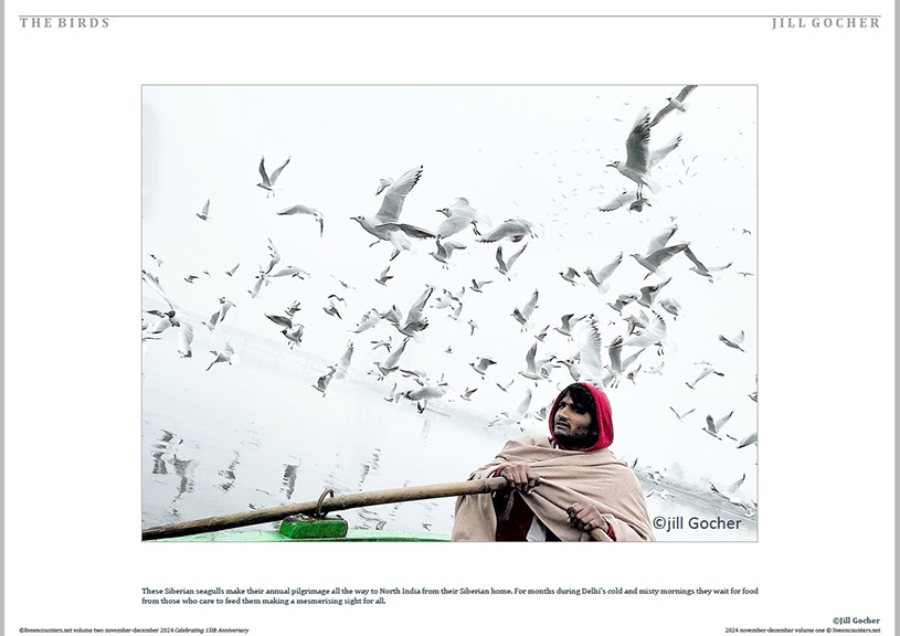 Gocher 05 LE Mag Volume One Nov-Dec 2024