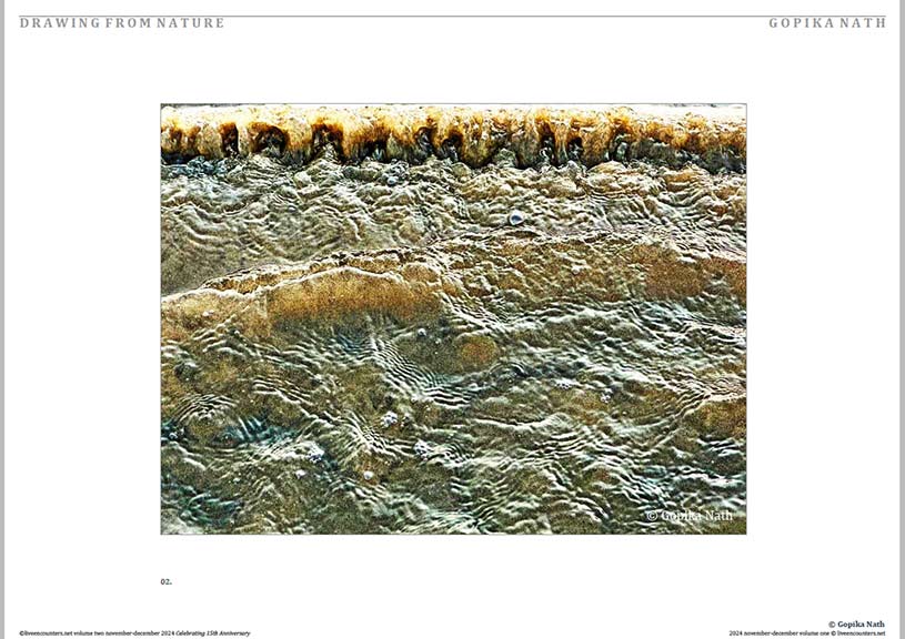 Nath 02 LE Mag Volume One Nov-Dec 2024