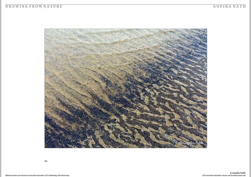 Nath 03 LE Mag Volume One Nov-Dec 2024