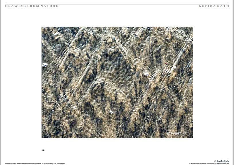 Nath 04 LE Mag Volume One Nov-Dec 2024