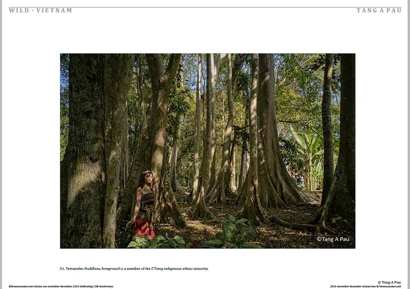 Pau 01 LE Mag Volume One Nov-Dec 2024