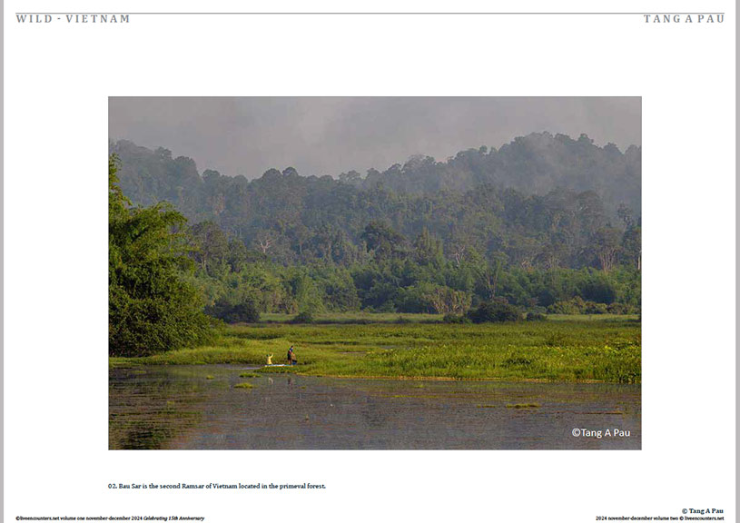 Pau 02 LE Mag Volume One Nov-Dec 2024