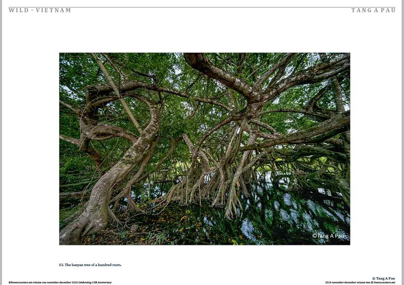 Pau 03 LE Mag Volume One Nov-Dec 2024