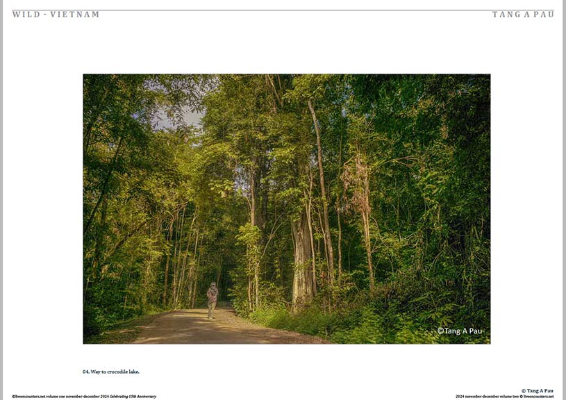 Pau 04 LE Mag Volume One Nov-Dec 2024